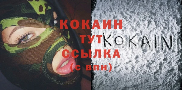 индика Волосово