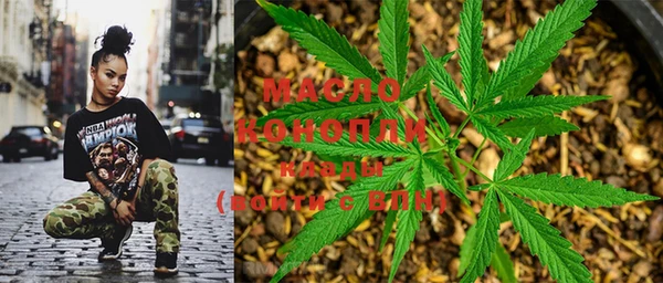 индика Волосово