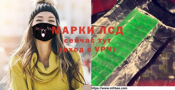 индика Волосово