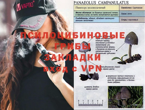 соль курить ск Володарск
