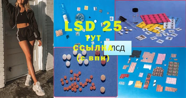 индика Волосово