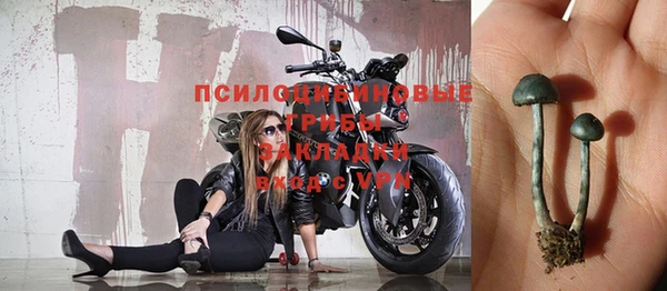 спайс Волоколамск