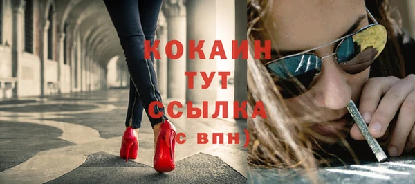 индика Волосово