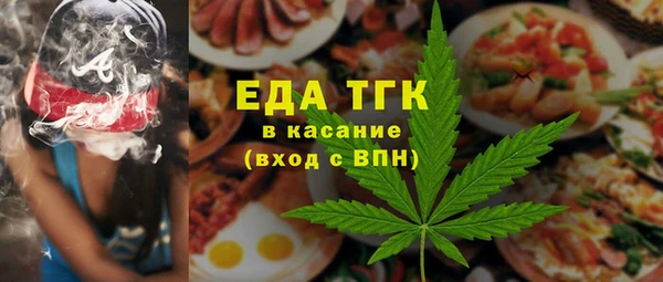 индика Волосово